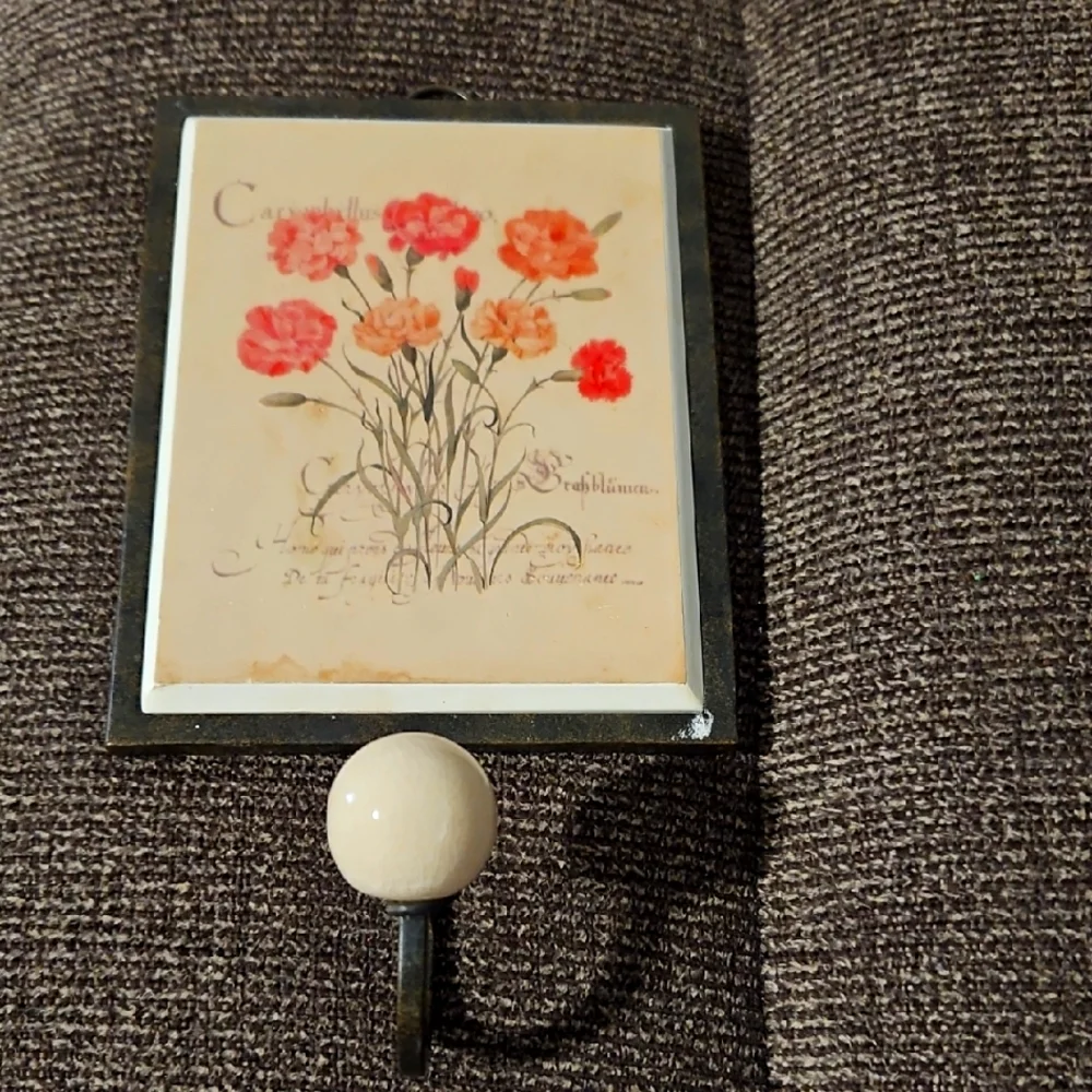 ❤️Floral Wall Hook with Red and Pink Carnations